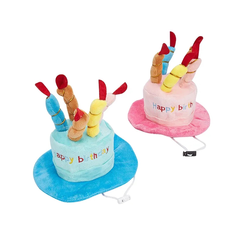 Pet Birthday Hat